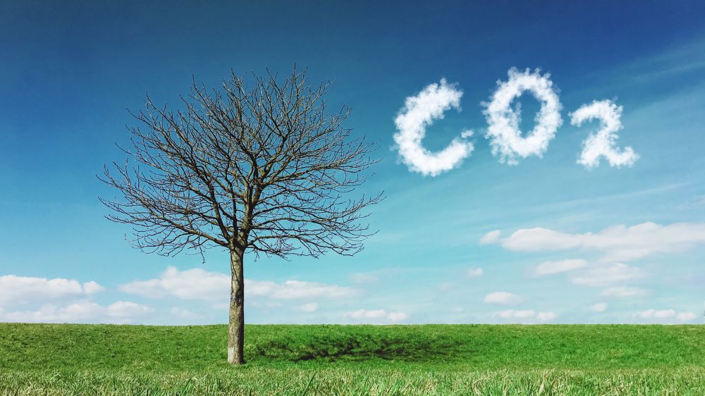 草原に１本の木が生えていて青空に雲がCO2の形になっている