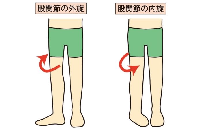 股関節の内旋・外旋のイラスト