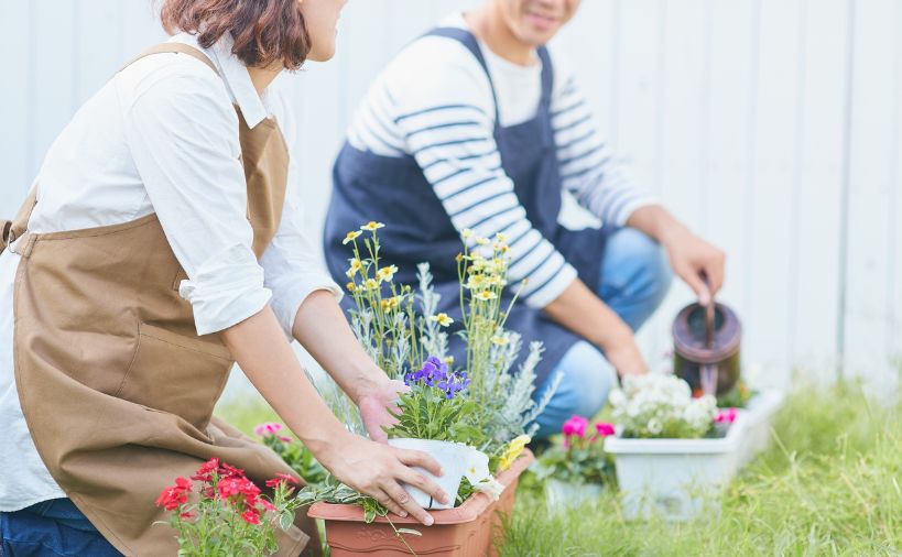 園芸をしている夫婦