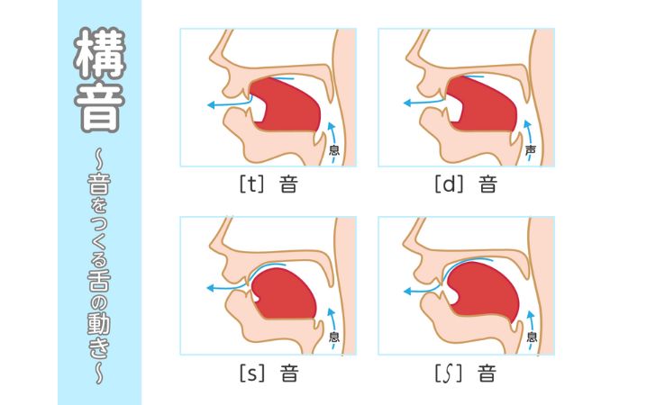 構音と舌の位置