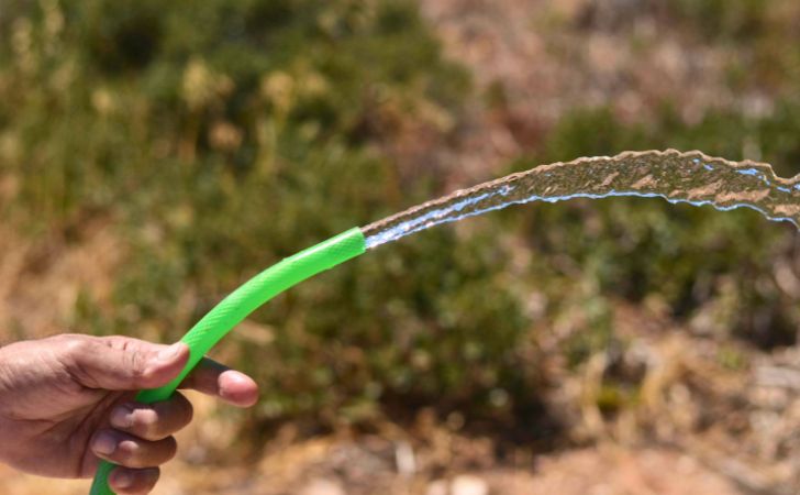 ホースで水撒きをしている様子