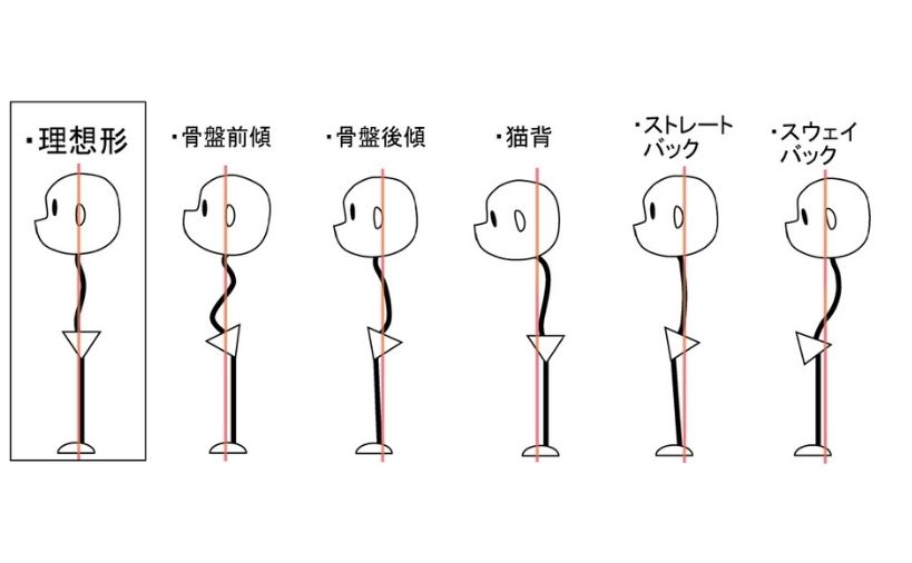 姿勢のバリエーション