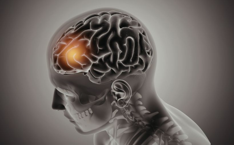 脳の前頭前野が働いている様子